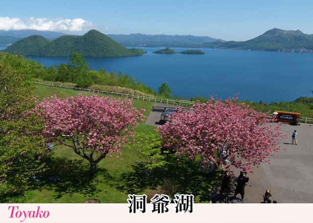 北海道洞爺湖のオススメ 運気上昇 桜とパワースポット Snsビジネス で稼ぎ続ける ための3つの法則